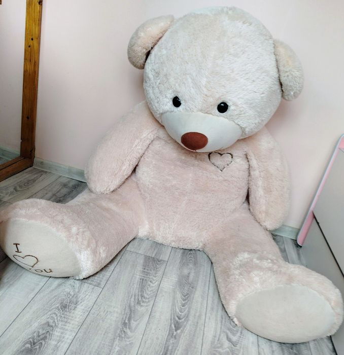 Miś półtora metra wielkości