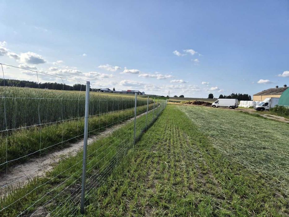 Ogrodzenie z Siatki Leśnej metalowe Tymczasowe / Budowlane Estetyczne