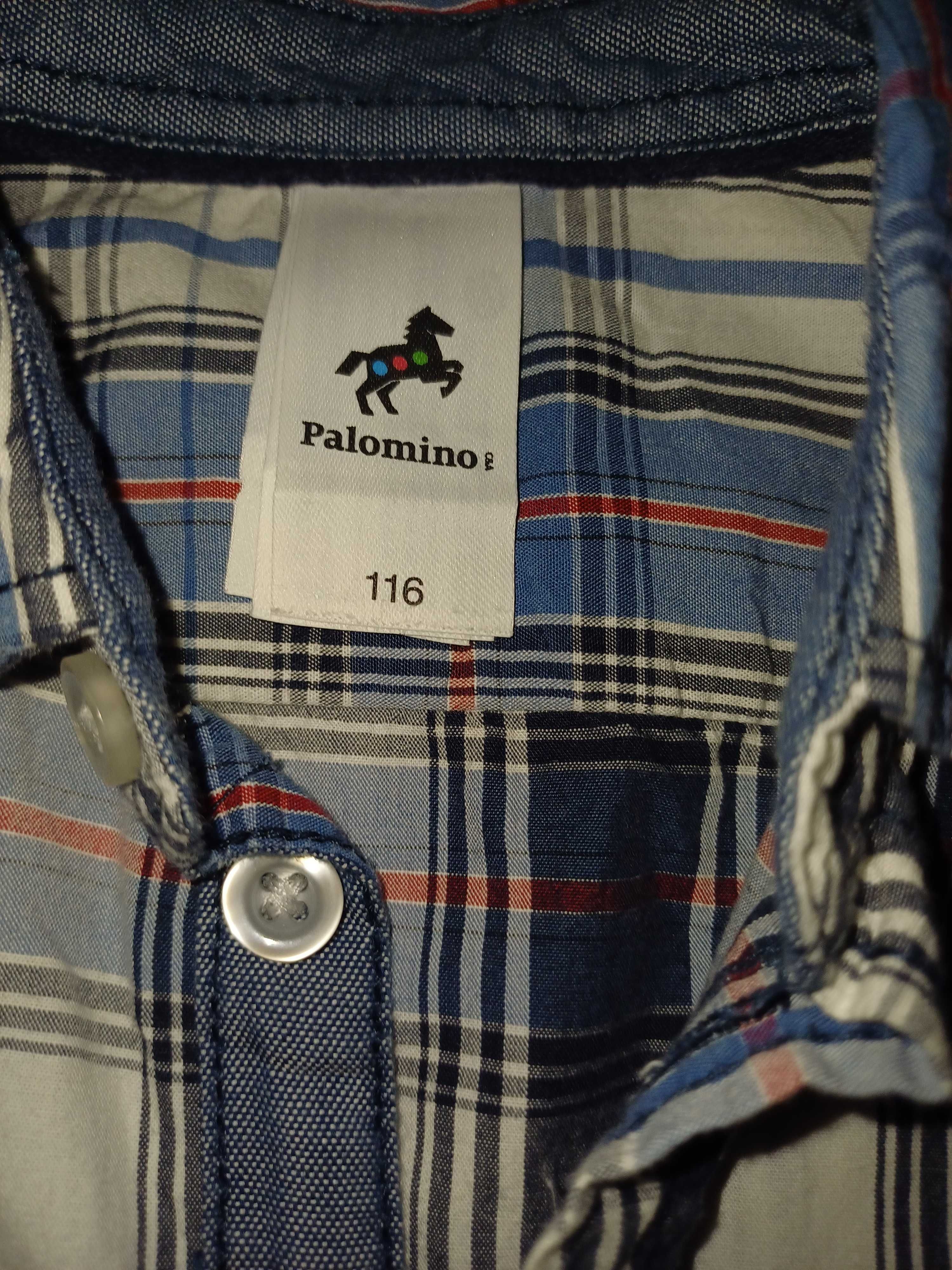 Camisa Rapaz Xadrez - Tons de Azul
