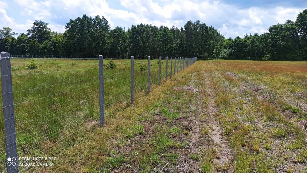 Ogrodzenie na słupach betonowych