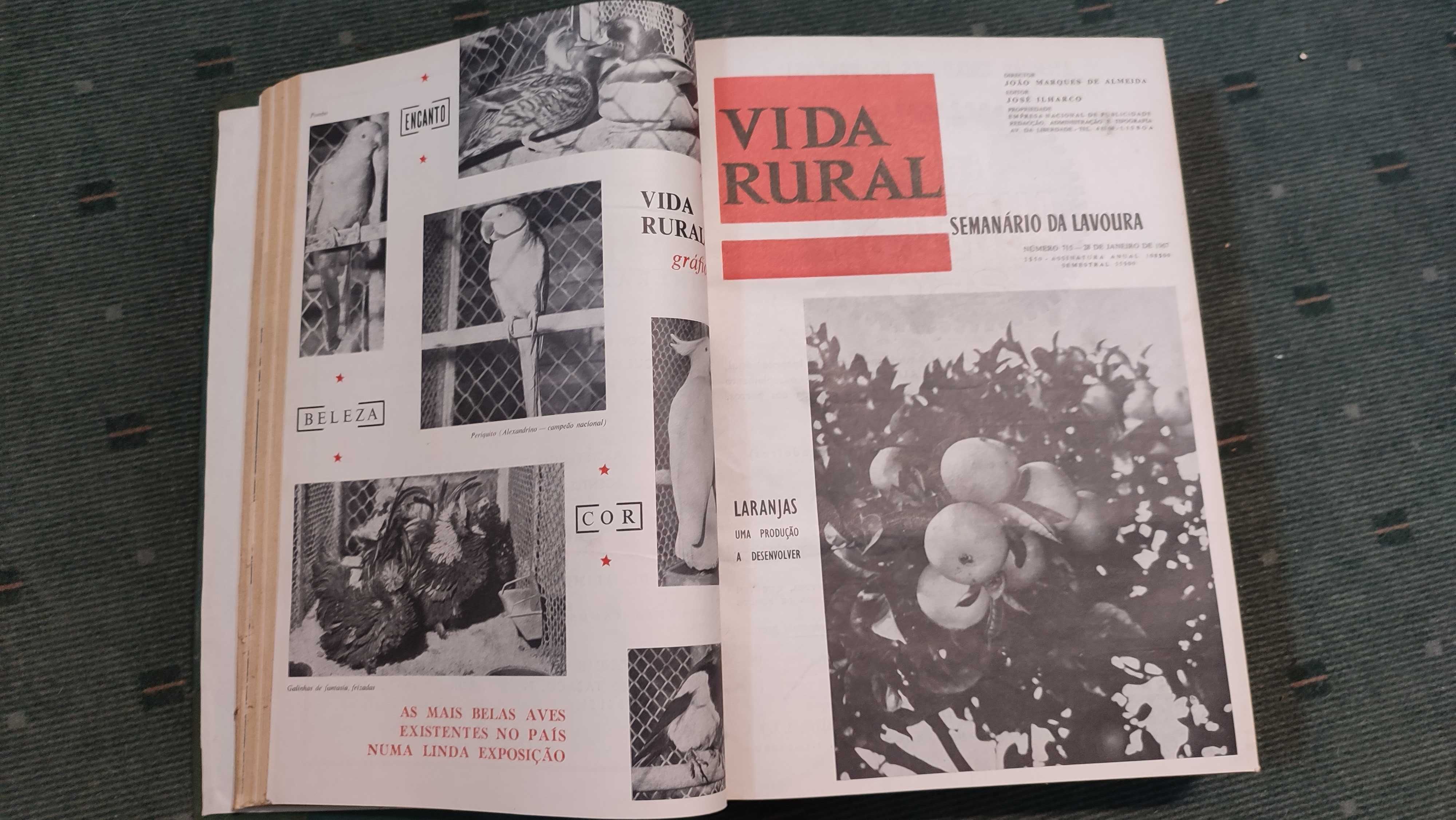 Vida Rural - 1º semestre 1967 - 25 revistas encadernadas