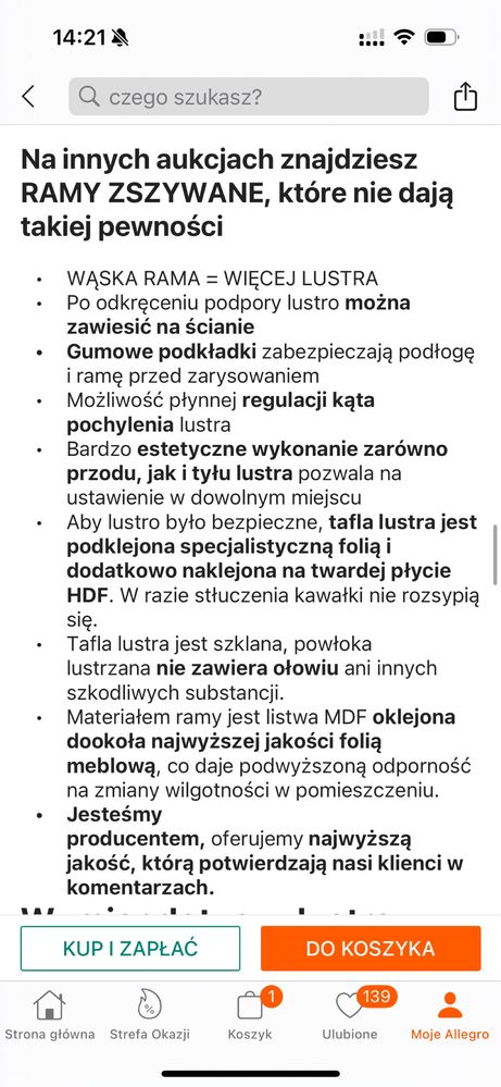 Lustro stojace 170×50