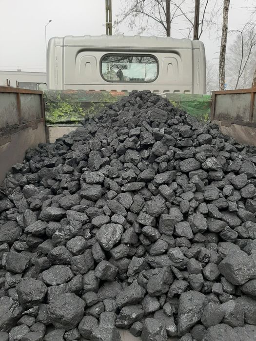 Polski Węgiel orzech