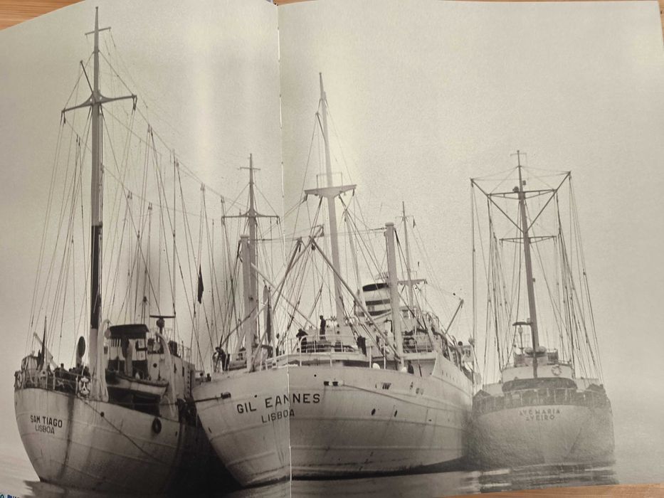 Os Últimos Terranovas Portugueses