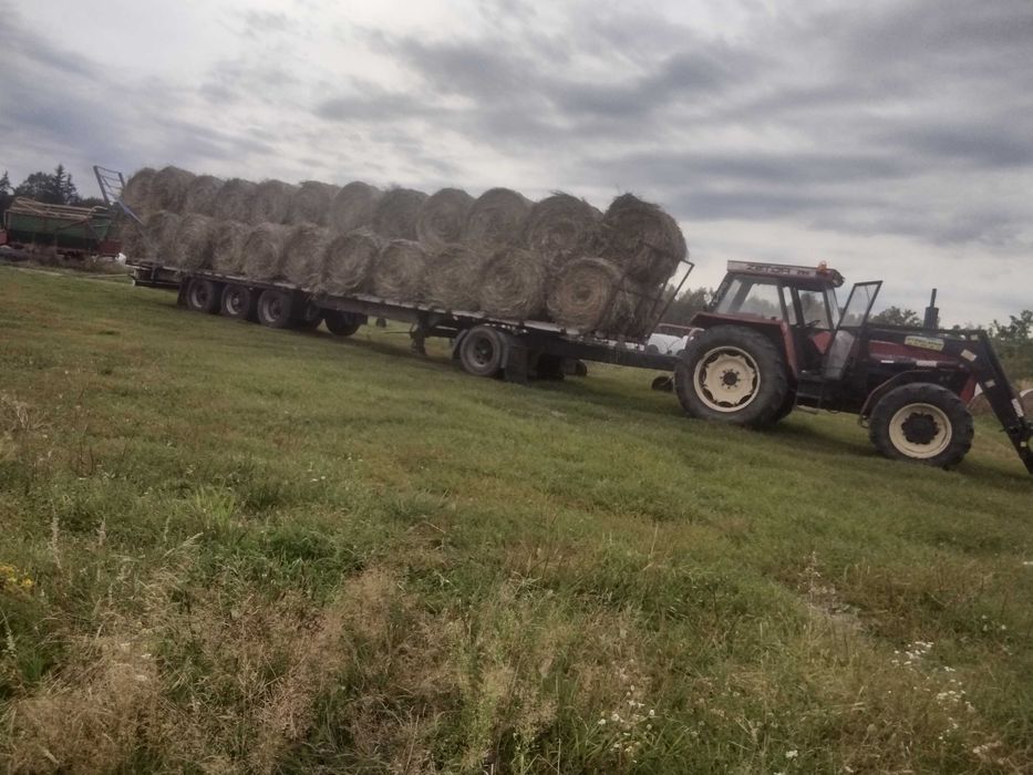 Siano tegoroczne 500 sztuk po prasie pasowej