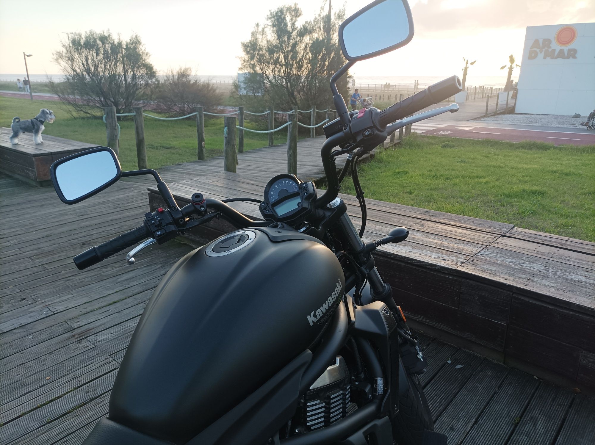 Kawasaki Vulcan S
