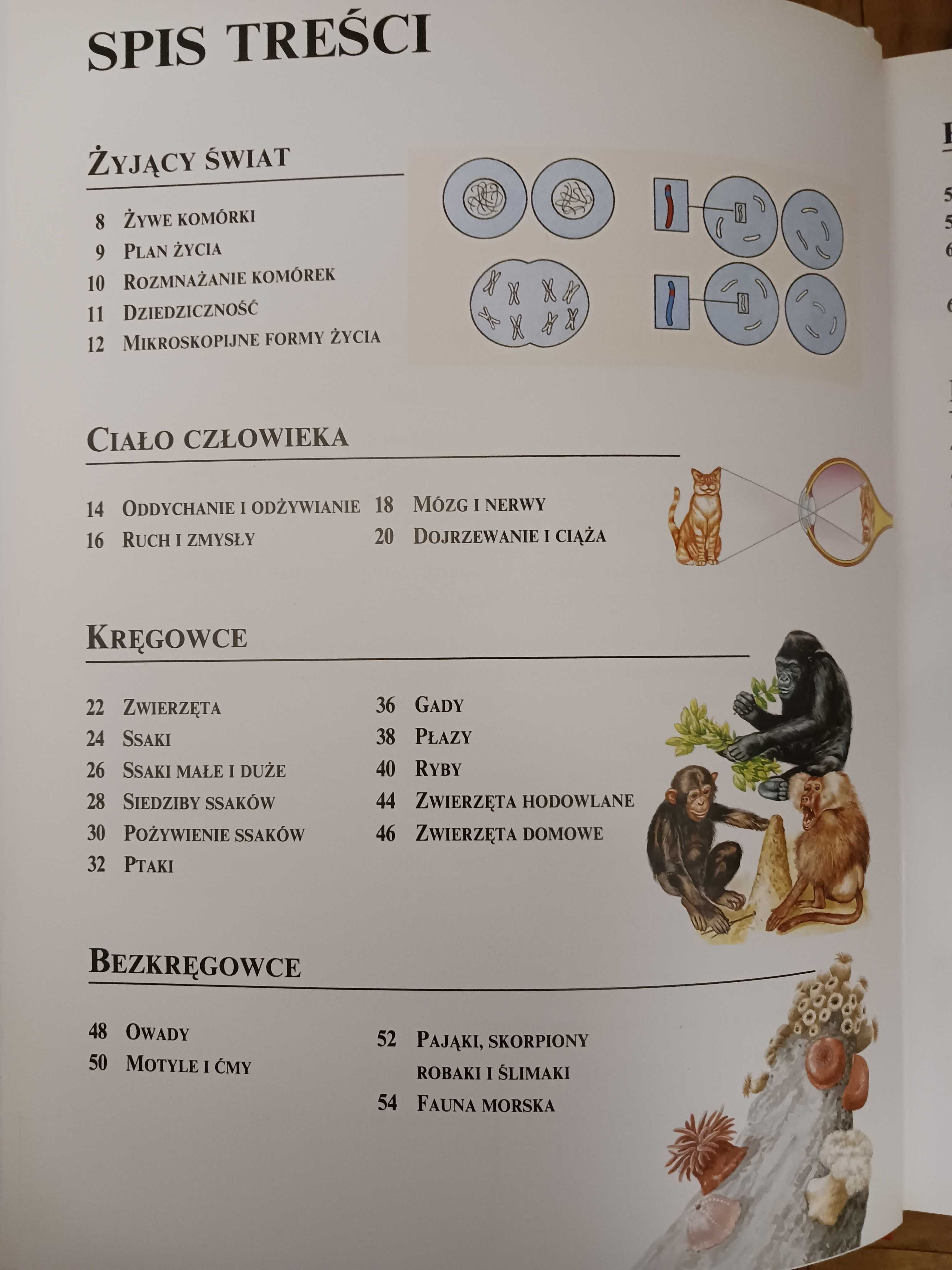Szkolna Encyklopedia - John Farndon