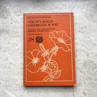 Uprawa roślin ozdobnych w Pod działka balkon rośliny hobby książka