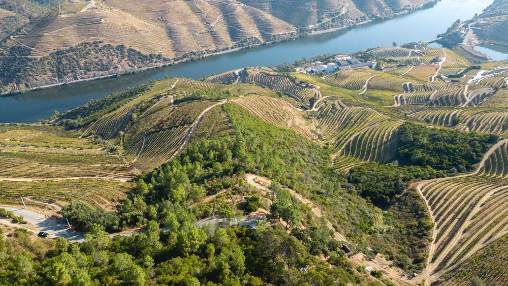 Casa do Grilo - Alto Douro