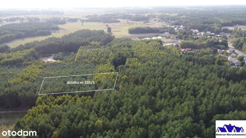 Działka budowlana porośnięta lasem Bory Tucholskie