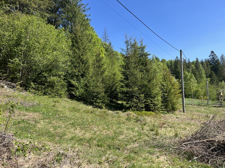 Продам зимельну ділянку в Карпатах