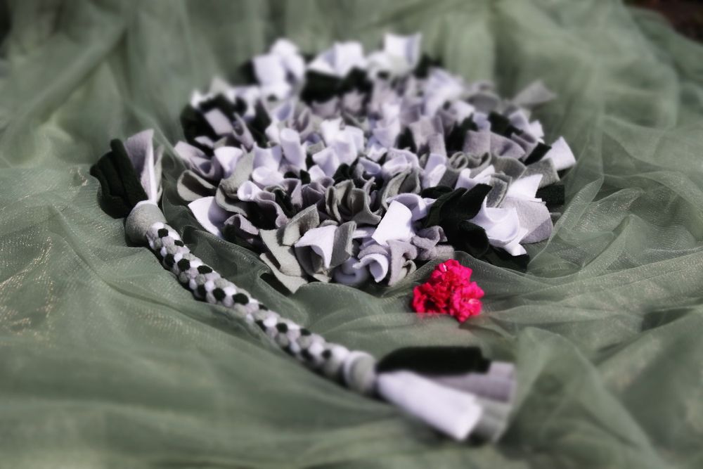 ZwierzoBox - mata węchowa i szarpak dla psa