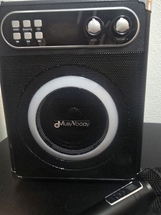 Karaoke com 2 microfones - novo