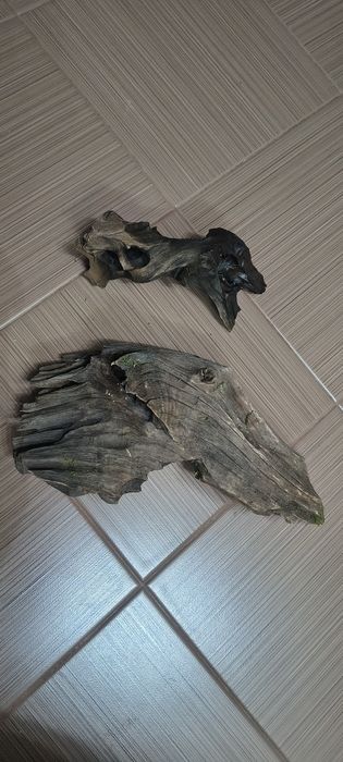 Korzeń do akwarium.