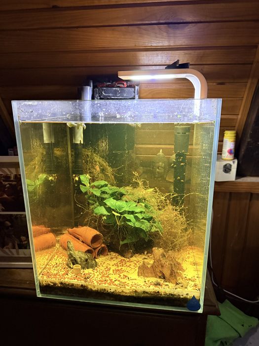 Aquario Cubo 30x30x35 Extra Claro