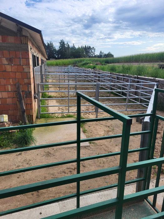 Kojce dla bydła - na wymiar