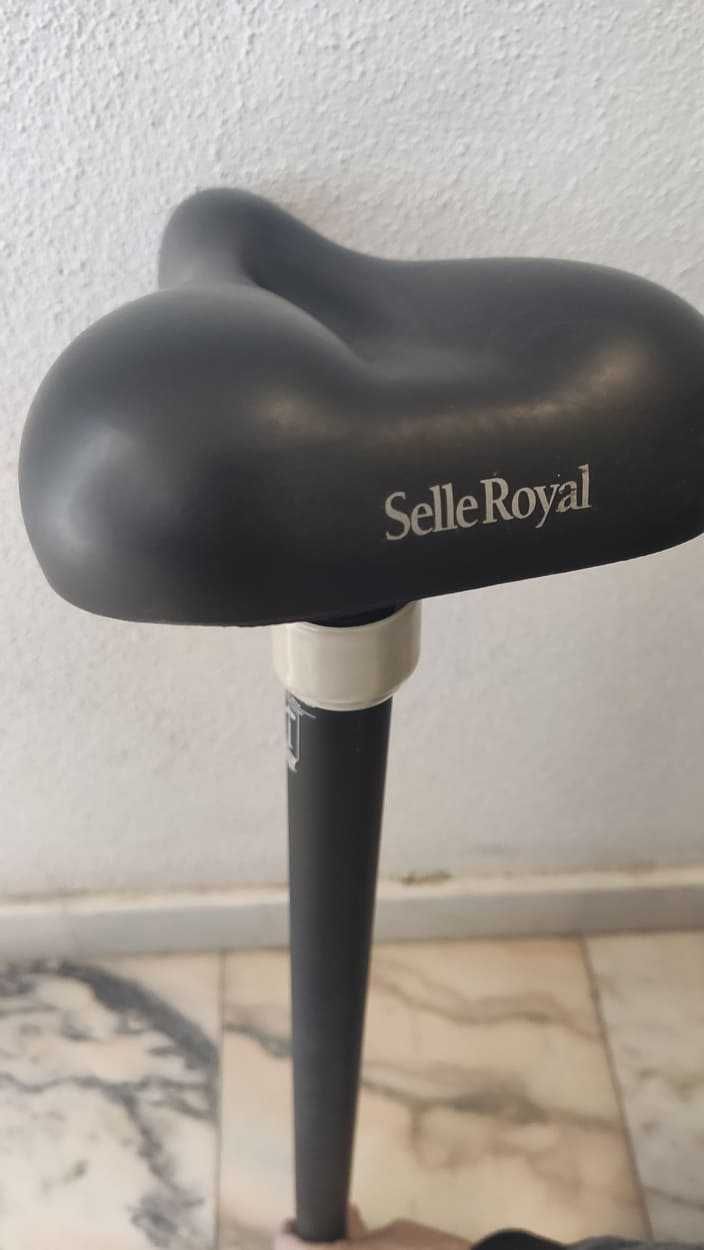 Selim de bicicleta da Selle royal com apoio+ um selim sem apoio