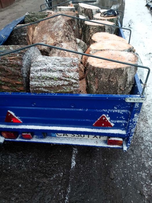 Дрова сухі 500грн куб