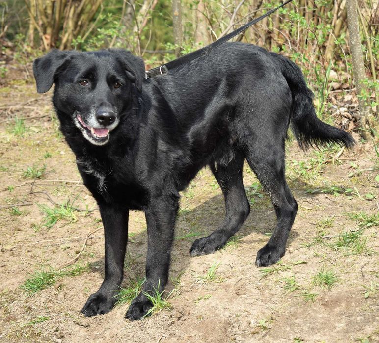 Smutny Tajfun jest pomijany niesłusznie