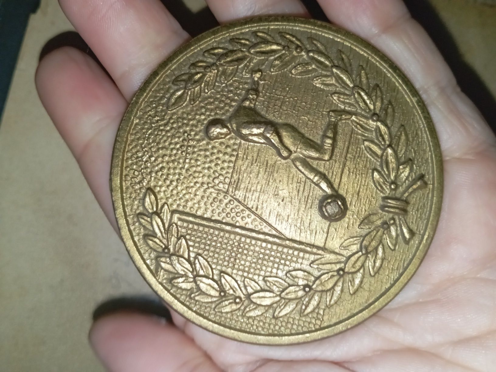 Medalha Record da equipa prof José Lourenço