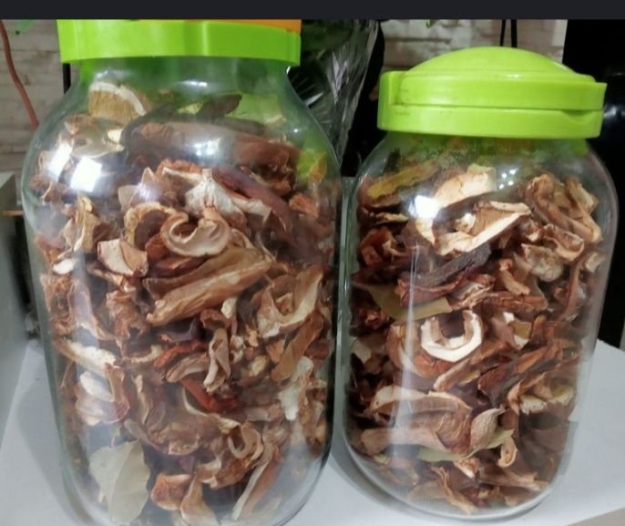 Grzyby suszone tegoroczne