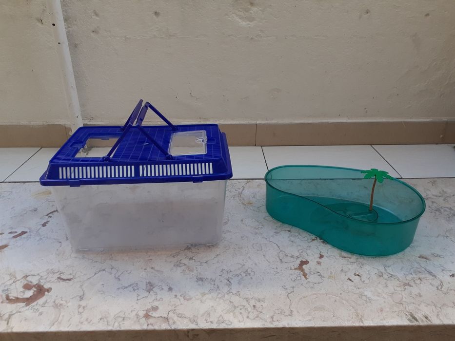 Vendo Tartarugueiras