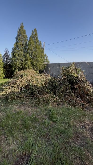 Вывоз веток уборка территории