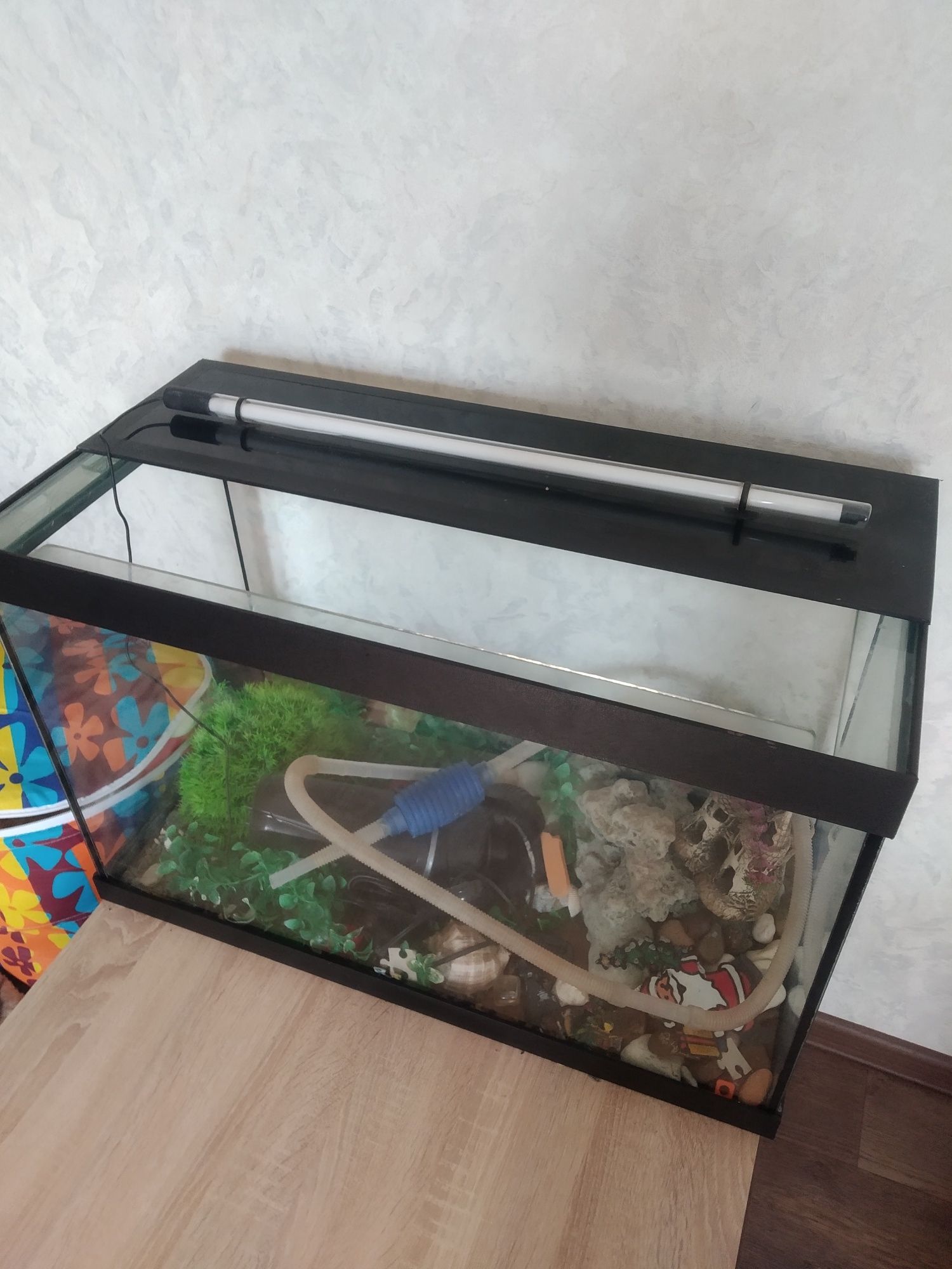 Акваріум для рибок