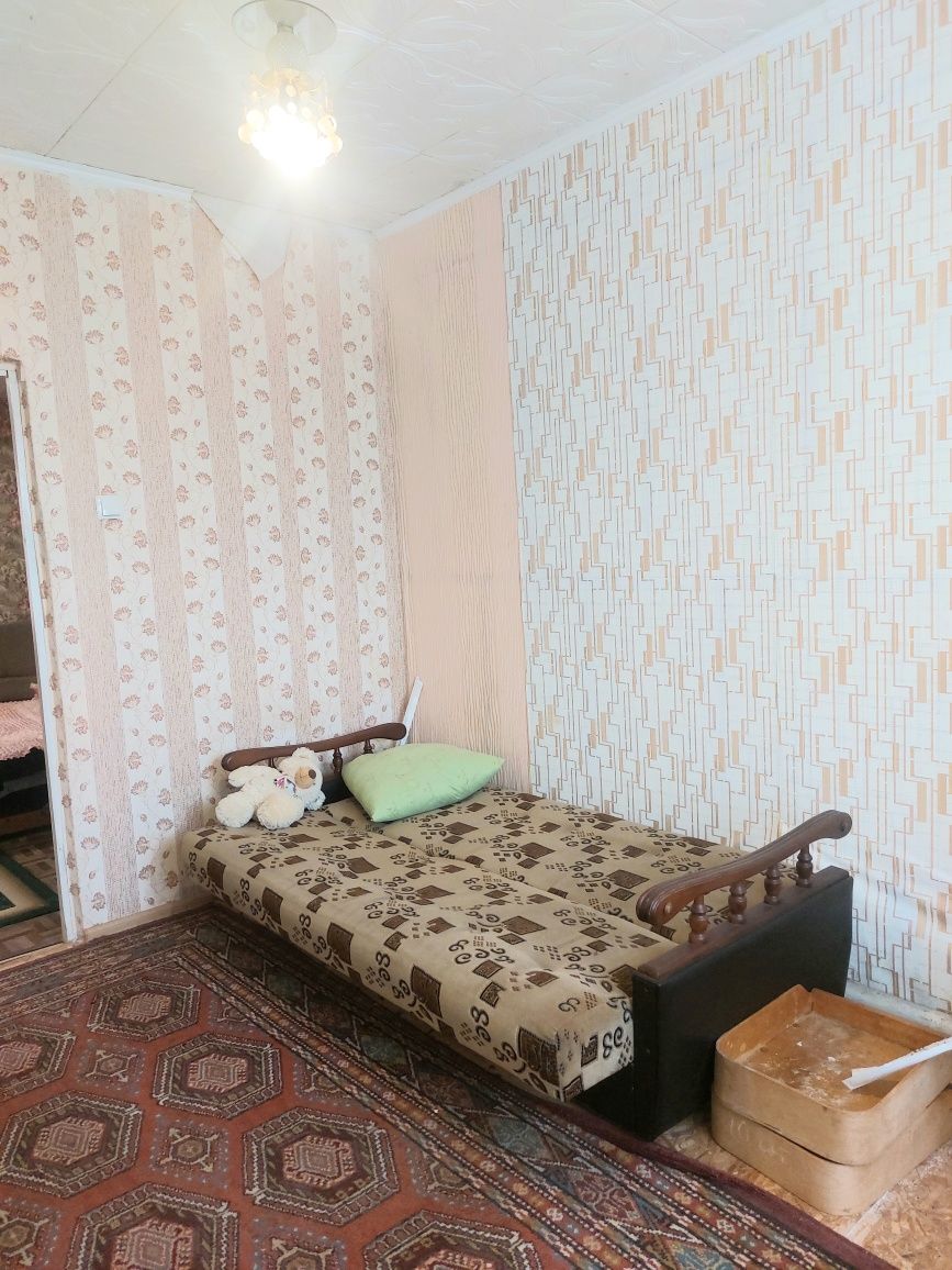 Продам Большой Дом в Центре ЕЛИЗАВЕТОВКИ