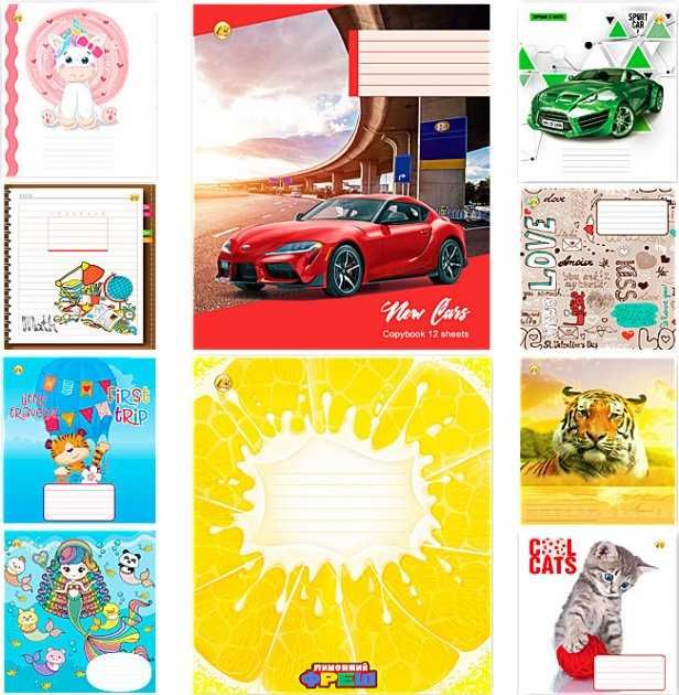 Набір зошитів учнівських в клітинку та лінію 12 аркушів