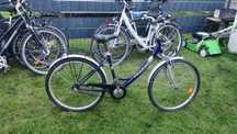 Rower damka Pegasus 26 cali