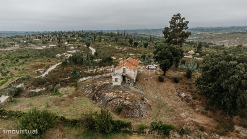 Quinta / Seia, Sameice e Santa Eulália
