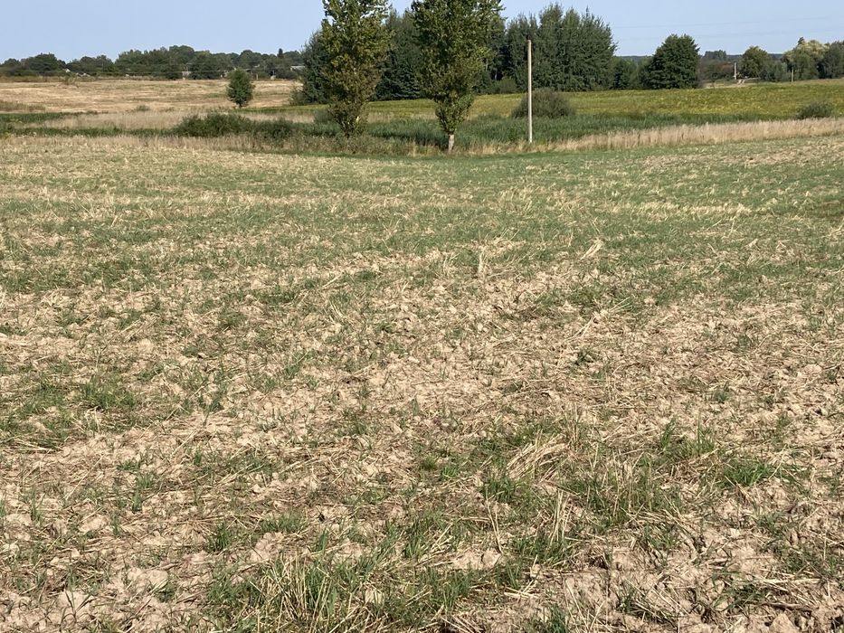 Участок 76 сотих