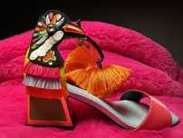 Kat Macone buty z papugami 36