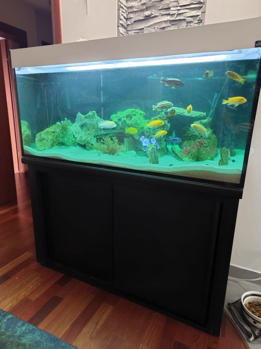 Akwarium 300L zestaw