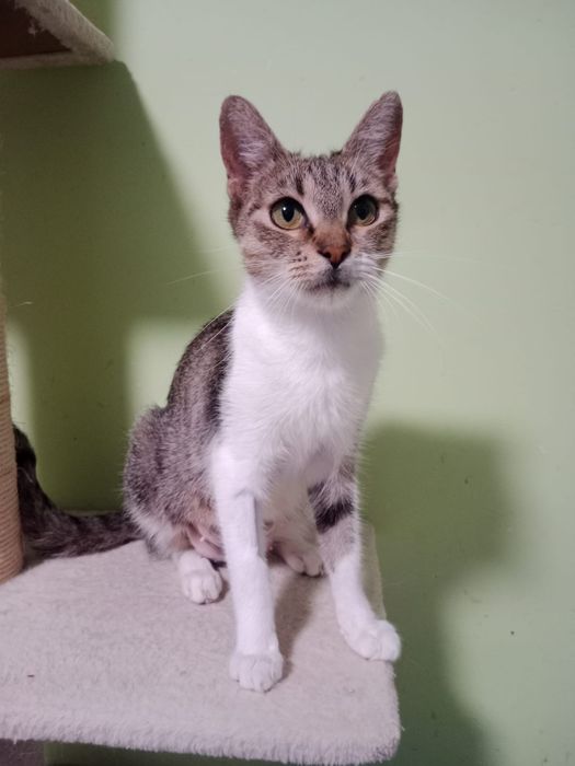 Matyldzia szuka domu