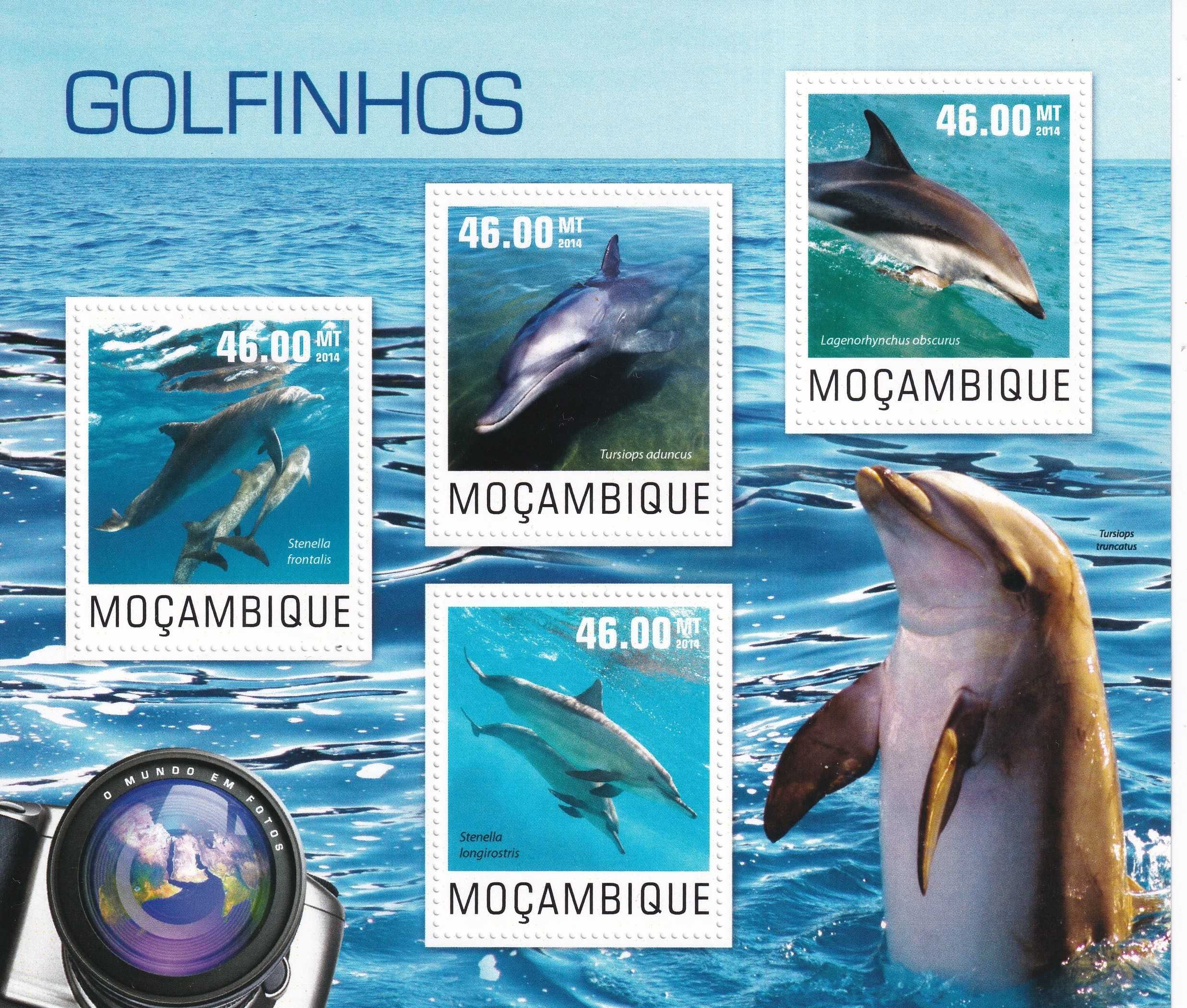 Mozambik 2014 cena 4,90 zł kat.8€ - delfiny, arkusz