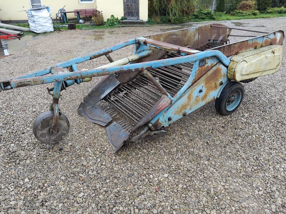 Kopaczka elewatorowa do ziemniaków