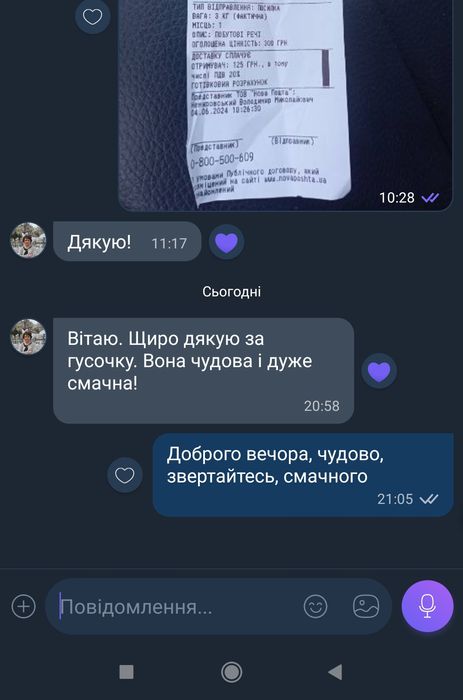 Тушка домашньої гуски гусь