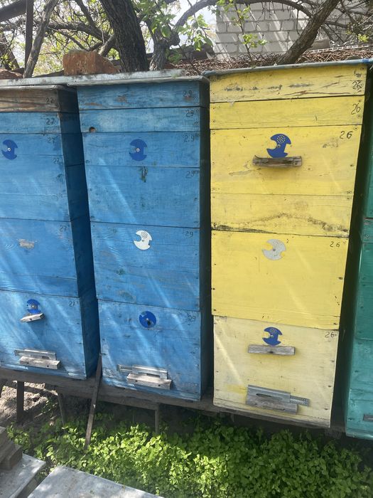 Вулик. Дадан. Улей.