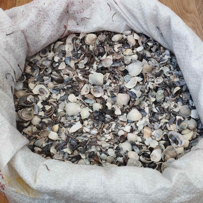 Ракушка морська кормова, фасована по 20 кг.
