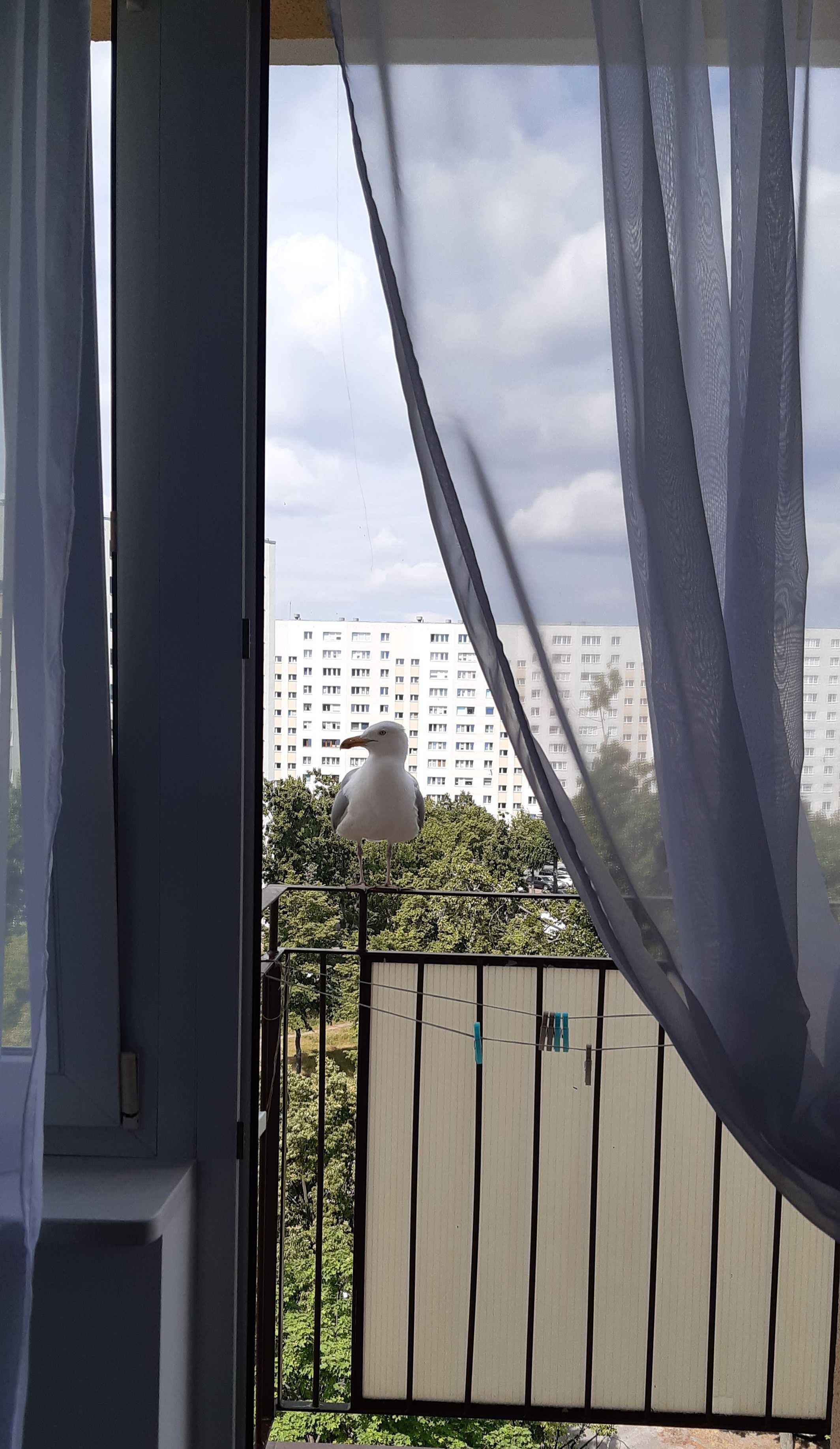 Apartament SEASIDE Gospody 5a ERGO ARENA