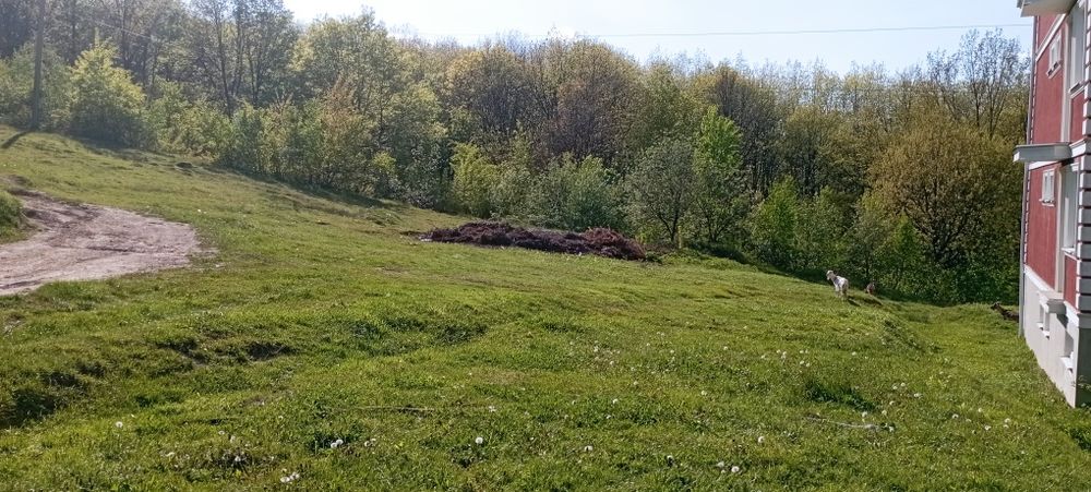 Продам ділянку 5 соток курорт Поляна Сонячне Закарпаття