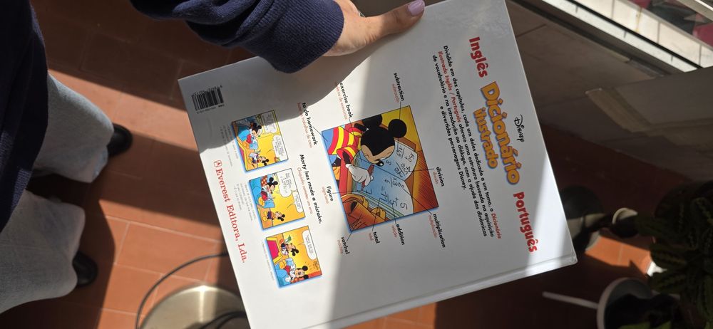 Livro Dicionário Ilustrado Disney