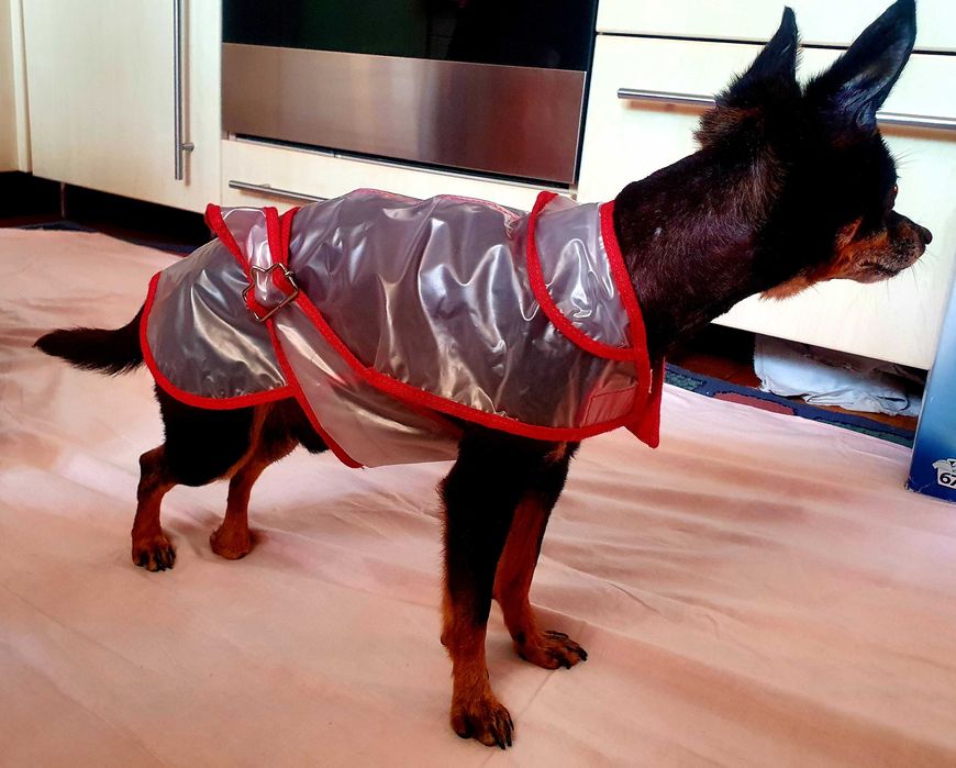 plaszcz przeciw deszczowy dla psa 30 cm dl