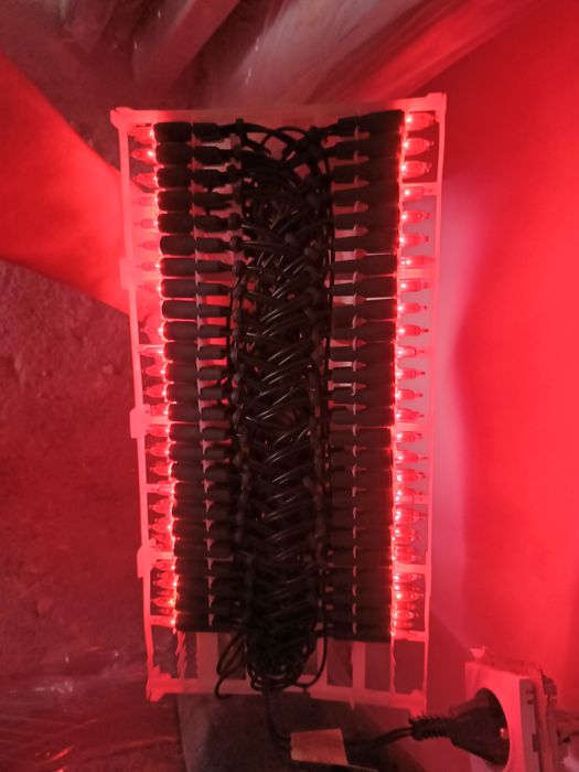 Lampki choinkowe AGFA Fotojoker czerwone nowe