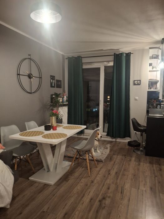 Zasłony butelkowa zieleń