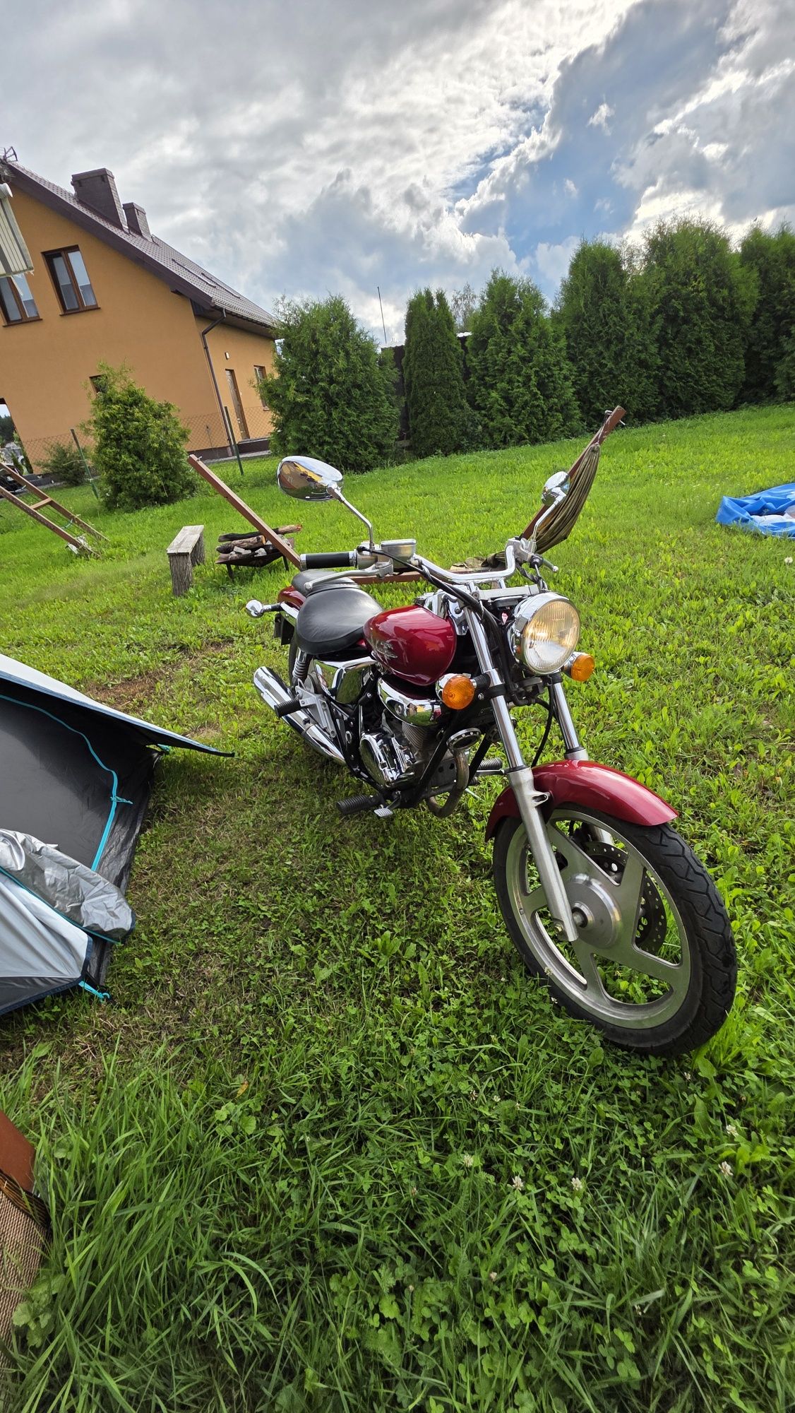 Daelim VT 125 – idealny dla początkujących