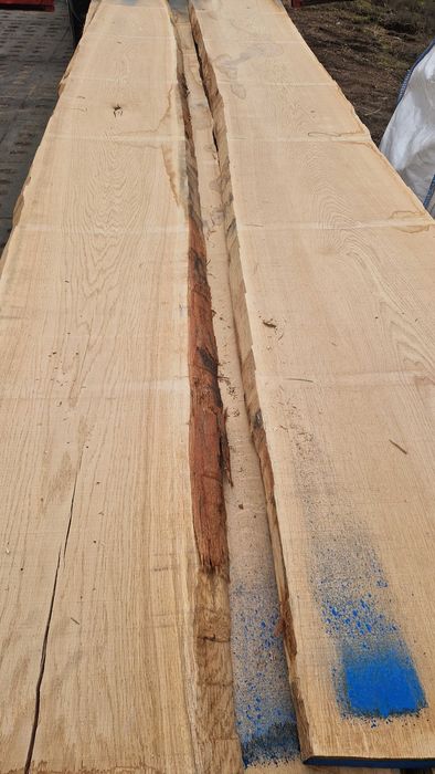 suchy dąb, tarcica dębowa 50mm 1 klasa 8-10%KD