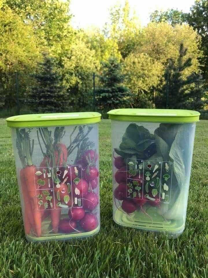 Ventsmart vertical 3,2L (NOVO) - Tupperware